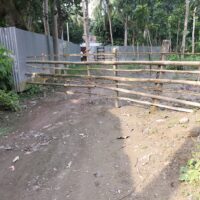 আলফাডাঙ্গায় সরকারী রাস্তা দখলের অভিযোগ আওয়ামী লীগ নেত্রী খাদিজার বিরুদ্ধে