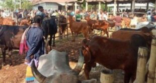 গোপালগঞ্জের পরানপুর পশুরহাট; ইজারাদারদের যোগসাজশে চলছে ‘খাস আদায়’