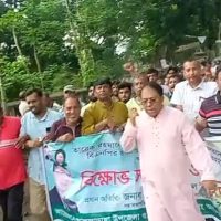তারেক রহমানকে কটুক্তির প্রতিবাদে আলফাডাঙ্গা বিএনপির বিক্ষোভ মিছিল 